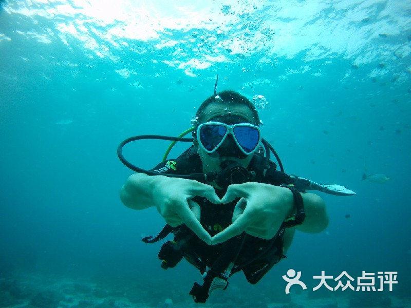 小猫钓鱼游戏龙王版有船