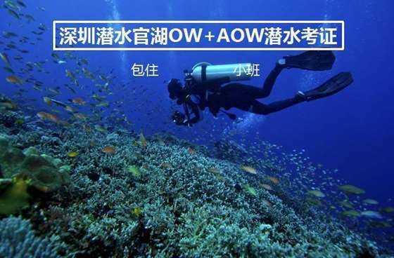 复旦微电不超20亿可转债获上交所通过 中信建投建功