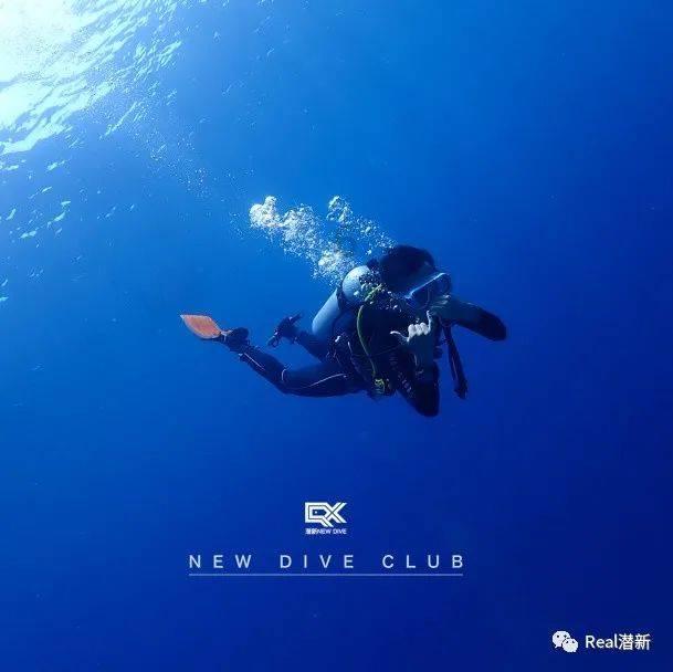 脑洞小老弟无实名认证