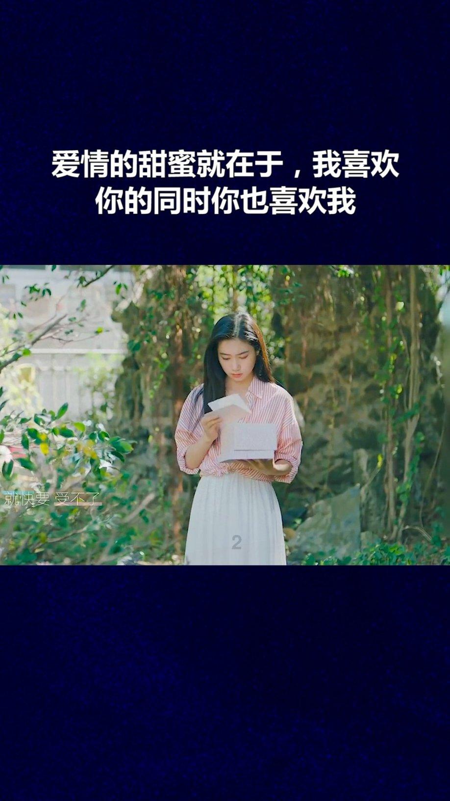 救援萌老虎